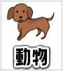 動物